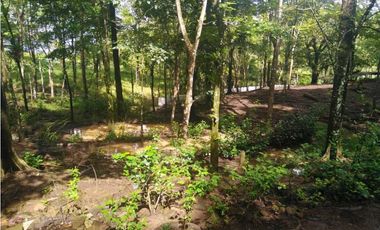 VENDO.TERRENO.DESDE.7000MTS CON CASITA - VIA GUALACA