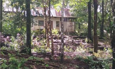 VENDO.TERRENO.DESDE.7000MTS CON CASITA - VIA GUALACA