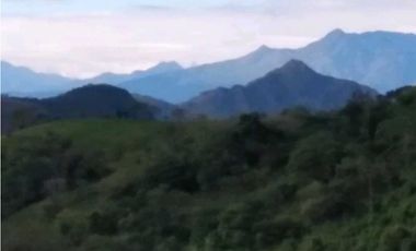 ALQUILO BUS AMOBLADO VIA GUALACA