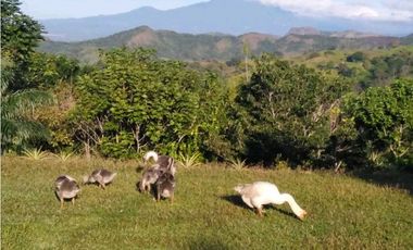 ALQUILO  CASITA 1 HABITACION - VIA GUALACA