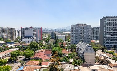 Nelson 2040 [2909-1]