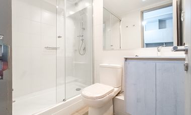 Nelson 2040 [2909-1]