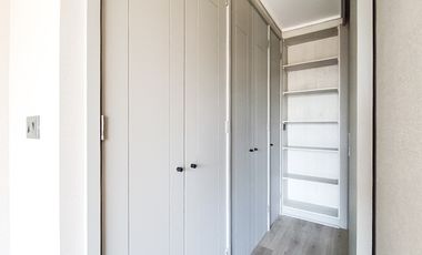 Nelson 2040 [2909-1]