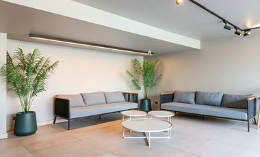 Nelson 2040 [2909-1]