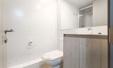 Nelson 2040 [2909-1]