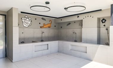 Nelson 2040 [2909-1]