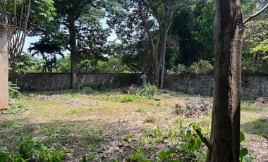 Casa Sola en Palmira Tinguindin Cuernavaca - CRB-1296-Cs