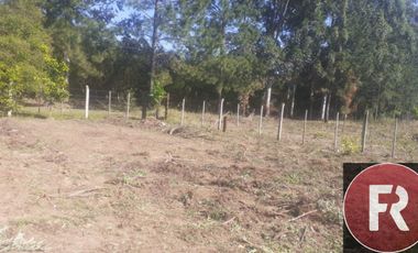 Casa quinta en venta de 1200m2 ubicado en Ituzaingó