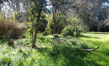 QUINTA VENTA GUERNICA EXTENSO PARQUE