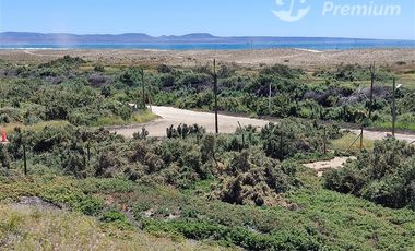 Casa en Arriendo en Tongoy