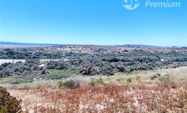 Casa en Arriendo en Tongoy