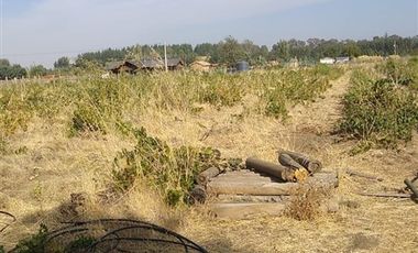 Parcela en Venta en KILOMETRO 6, CAMINO NUEVA ALDEA, QUILLON