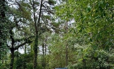 CASA  AMUEBLADA  EN TAPALPA ESTILO VICTORIANO EN HACIENDA SAN FRANCISCO