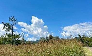 CASA NUEVA EN FRACCIONAMIENTO LA PUERTA