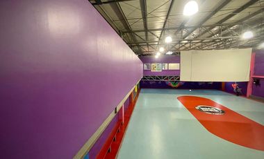 Venta de bodega o nave industrial  (antes Pista de Patinaje)