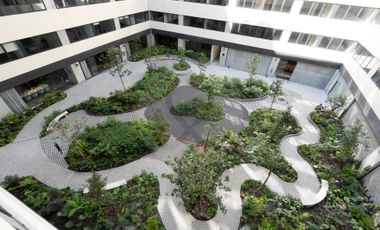 Jardín Reforma Departamento en renta en San Rafael