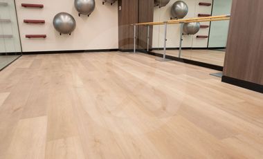 Jardín Reforma Departamento en renta en San Rafael