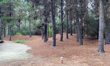 Casa en venta - 5 Dormitorios 4 Baños - Pinamar