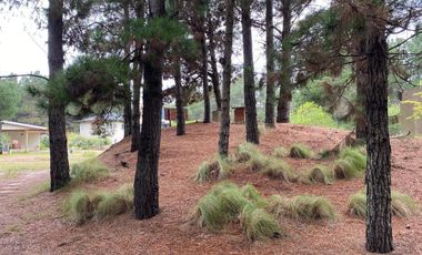 Casa en venta - 5 Dormitorios 4 Baños - Pinamar