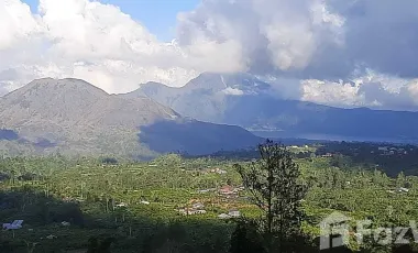 3 Bedroom Villa for sale in Kintamani, Bali