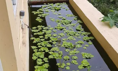 3 Bedroom Villa for sale in Kintamani, Bali