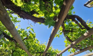 PARCELA DE AGRADO MELIPILLA