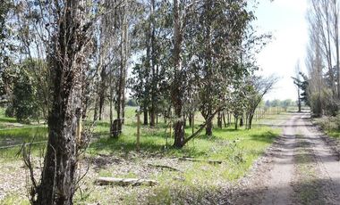 Agrícola en Venta en Parcelas Agricola 1 Hectarea - Credito Directo - Red de Agua