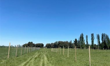 Parcela en Venta en Parcelas Agricola 1 Hectarea - Credito Directo - Red de Agua