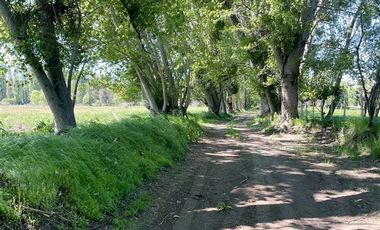 Parcela en Venta en Parcelas Agricola 1 Hectarea - Credito Directo - Red de Agua