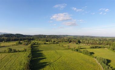 Parcela en Venta en Parcelas Agricola 1 Hectarea - Credito Directo - Red de Agua