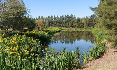 YA ESCRITURADO. ORIENTACION NORTE. LOTE INTERNO.