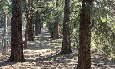 YA ESCRITURADO. ORIENTACION NORTE. LOTE INTERNO.