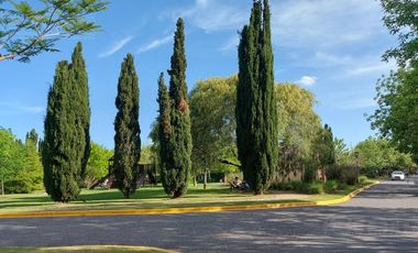 YA ESCRITURADO. ORIENTACION NORTE. LOTE INTERNO.