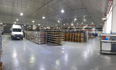 Galpón en  Zona Sur