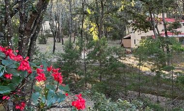 Casa en Venta en Reserva de los Encinos Arenal