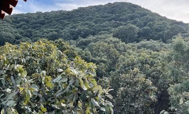 Casa en Venta en Reserva de los Encinos Arenal