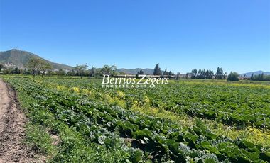 Terreno Construccion  en Venta en Vicuña Mackenna