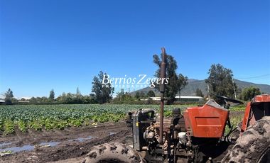 Terreno Construccion  en Venta en Vicuña Mackenna