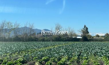 Terreno Construccion  en Venta en Vicuña Mackenna