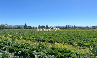 Terreno Construccion  en Venta en Vicuña Mackenna