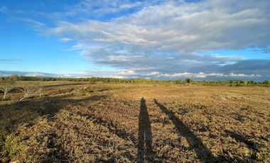 MAULLIN 100 HA PARCELADAS CADIQUEN