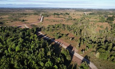 MAULLIN 100 HA PARCELADAS CADIQUEN