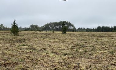 MAULLIN 100 HA PARCELADAS CADIQUEN