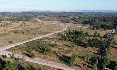 MAULLIN 100 HA PARCELADAS CADIQUEN