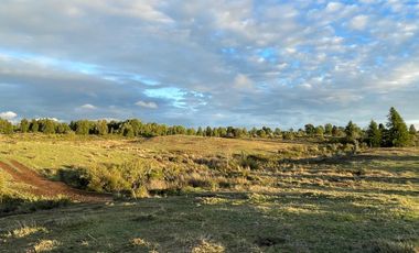 MAULLIN 100 HA PARCELADAS CADIQUEN