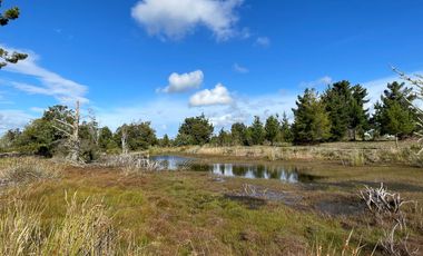 MAULLIN 100 HA PARCELADAS CADIQUEN