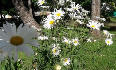 Casa quinta en venta - 4 Dormitorios 3 Baños - Coronel Brandsen