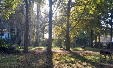 Casa quinta en venta - 4 Dormitorios 3 Baños - Coronel Brandsen