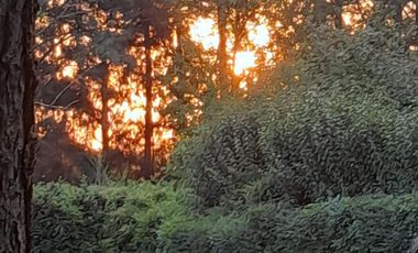 Casa quinta en venta - 4 Dormitorios 3 Baños - Coronel Brandsen