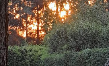 Casa quinta en venta - 4 Dormitorios 3 Baños - Coronel Brandsen